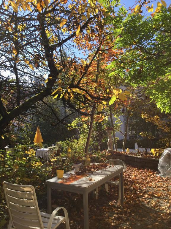 Garden Studio Apartment Zuerichberg Екстер'єр фото